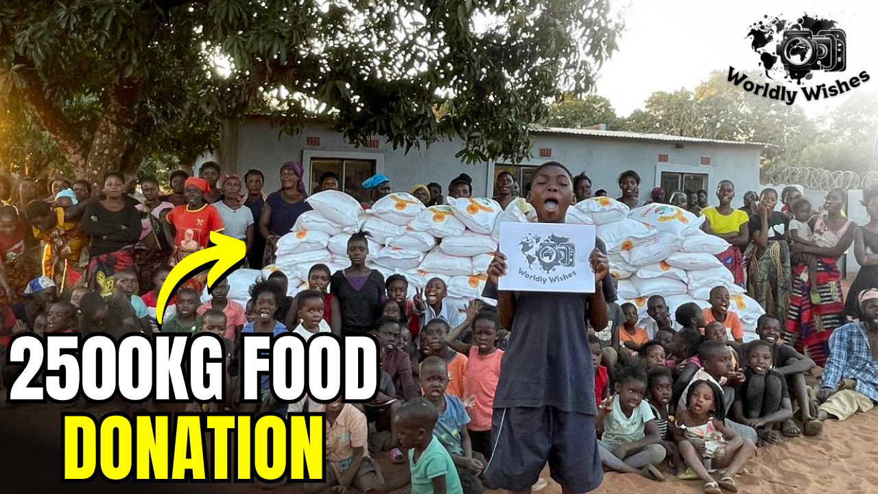 Video laden: Worldly Wishes | Thank You For The Food DONATION! 💗 Africa Dance Video Donations!